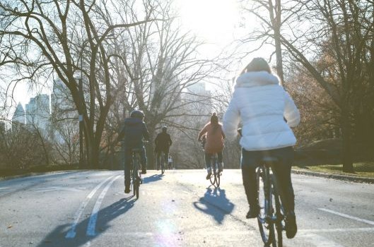 Najciekawsze trasy rowerowe w Wielkopolsce